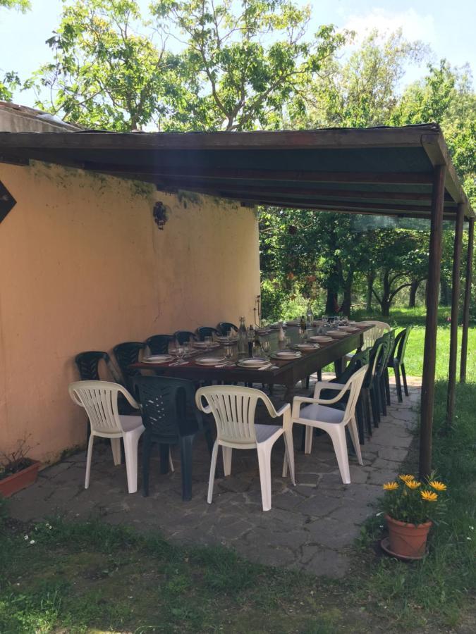 Agriturismo Bethsaid Fauglia Exterior photo