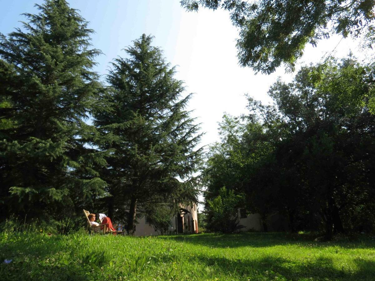 Agriturismo Bethsaid Fauglia Exterior photo